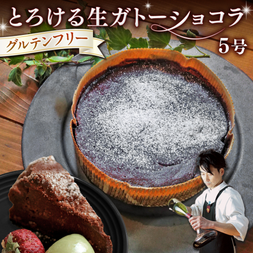 スイーツコンテスト 日本一 シェフ の「 とろける 生 ガトーショコラ 」 5号 手作り ケーキ チョコ チョコレート ショコラ 誕生日 バースデーケーキ 誕生日ケーキ [CF016ci] 1505610 - 茨城県筑西市