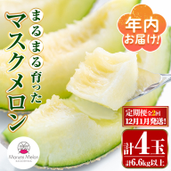【0432211b】＜定期便・全2回(12月・1月)＞年内お届け！まるまる育ったマスクメロン(2玉×2回・計6.6kg以上) マスクメロン フルーツ 果物 果実 6キロ 数量限定 期間限定 【まる美園芸組合】