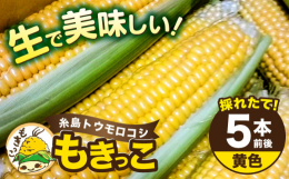 【とびきり甘い！生で食べられるとうもろこし「もきっこ」 】幸せなあまさ。旬の味をとれたてでお届け。あまいだけじゃない、うまいトウモロコシを!ごはんのおかずにも。お子さまのおやつにもどうぞ。元料理人が畑