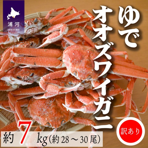 訳あり ゆでオオズワイガニ約7kg(約28～30尾入)[02-1412] 1506013 - 北海道浦河町