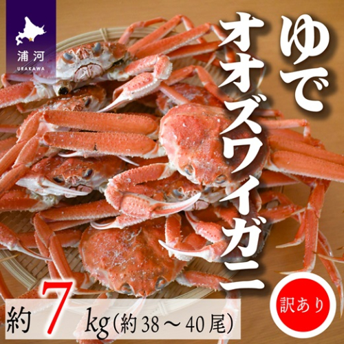 ◆期間・数量限定◆訳あり ゆでオオズワイガニ約7kg(約28～30尾入)[02-1412] 1506013 - 北海道浦河町