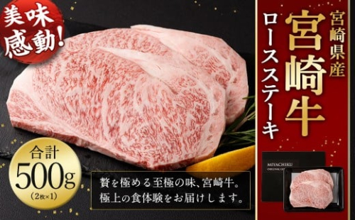 ＜宮崎牛 ロースステーキ 2枚 500g＞翌月末迄に順次出荷 新生活応援 卒業祝い 就職祝い 入学 卒業 お花見 引越し 1506021 - 宮崎県高鍋町