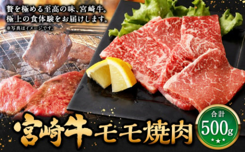 ＜宮崎牛 モモ焼肉 500g＞翌月末迄に順次出荷 牛肉 和牛 黒毛和牛 4等級以上 ブランド牛 肉 宮崎牛 モモ肉 モモ 焼肉 1506032 - 宮崎県高鍋町