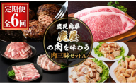 8001 [定期便6回]鹿屋の肉を味わう 肉三昧セットA[定期便 お楽しみ 黒豚 スライス 味噌漬け 鶏肉 南蛮 味付き肉 黒毛和牛 サーロイン 黒牛 ハンバーグ 豚肉]