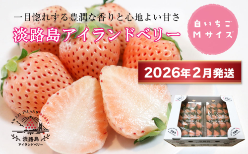 淡路島アイランドベリー　白苺淡雪　Mサイズ【2026年2月発送予約受付・お届け日指定不可】　[いちご] 1506276 - 兵庫県淡路市
