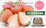 淡路島アイランドベリー　白苺淡雪　Mサイズ【2026年3月発送予約受付・お届け日指定不可】　[いちご]