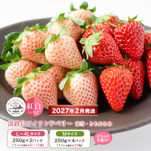 淡路島アイランドベリー　紅白いちご　淡雪/とちおとめ 2～4パック入【2027年2月発送予約受付・お届け日指定不可】　いちご 1506279 - 兵庫県淡路市