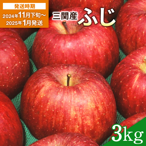 三関産りんご（ふじ）3kg[K3-2601] 1506330 - 秋田県湯沢市