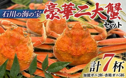 【先行予約】【冷蔵発送】<石川の海の宝>豪華二大蟹セット（加能ガニ2杯・香箱ガニ5杯） 2025年11月上旬以降発送 蟹 カニ かに ずわい 石川 加賀 F6P-2485 クラウドファンディング 実施中 GCF 1506333 - 石川県加賀市