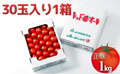 【12月より順次発送】完熟中玉トマト『レッドオーレ』1箱 5,000円 1506526 - 静岡県静岡市