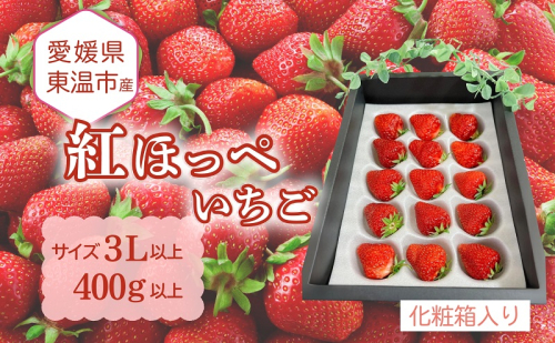 愛媛県東温市産いちご【紅ほっぺ 】サイズ3L以上 400g以上【大粒 化粧箱入り 甘い フルーツ ケーキ 旬 品種 高級 イチゴ 苺】 1506529 - 愛媛県東温市