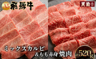 【2月配送】A5 飛騨牛 ミックスカルビ＆ A5飛騨牛もも赤身焼肉 520g（260g×2)【冷凍】 冷凍配送 もも 飛騨牛 下呂温泉 おすすめ 牛肉 肉 和牛 赤身 人気 ブランド牛 肉ギフト 国産 贈答品 焼き肉用 ギフト 和牛 21000円 2月発送 2月