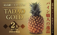 最高級パイナップル TADAO GOLD 2玉 約3.5kg[ゴールドバレル]2025年発送 ゴールドバレル パイナップル タダオゴールド たまき ただお 逸品 パインアップル 最高級 国産パイン 贈答用 パイン 匠 高級フルーツ 南国フルーツ パイン職人 希少 玉城忠男 農家直送 沖縄 東村