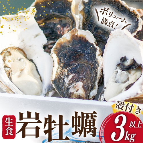 【期間限定発送】 岩牡蠣 生食 3kg 以上 [天洋丸 長崎県 雲仙市 item1907] 牡蠣 かき カキ 冷凍 いわがき 岩がき 殻付 殻付き 先行予約 1507268 - 長崎県雲仙市