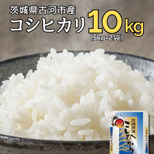 新米 令和6年産 古河市のお米 コシヒカリ 10kg(5kg×2袋） ※着日指定可 | 米 こめ コメ 10キロ こしひかり コシヒカリ 古河市産 茨城県産 贈答 贈り物 プレゼント 茨城県 古河市 直送 産地直送 送料無料 着日指定可 着日指定OK _DP90 1507275 - 茨城県古河市