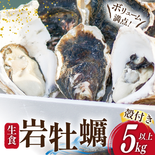 【期間限定発送】 岩牡蠣 生食 5kg 以上 [天洋丸 長崎県 雲仙市 item1908] 牡蠣 かき カキ 冷凍 いわがき 岩がき 殻付 殻付き 先行予約 1507278 - 長崎県雲仙市