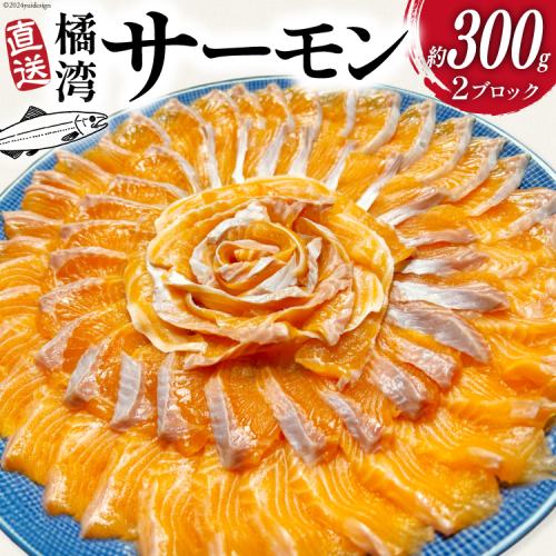 橘湾産 サーモン 刺身 2ブロック ( 約 300g ) [天洋丸 長崎県 雲仙市 item1903] おさしみ用 鮭 お刺し身 刺し身 個包装 海鮮 魚介類 海鮮丼 魚介 魚 国産 1507285 - 長崎県雲仙市