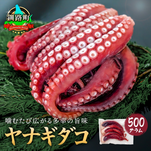 ヤナギダコ500ｇ【産地直送】プリプリ食感！釧路町昆布森産 ヤナギダコ｜噛むたびに広がる多幸の旨味 お刺身 鍋 煮物に最適 栄養満点 贈答用 にも最適 漁師直送 鮮度抜群 タコ 蛸 北海道 冷凍 釧路町 釧路超 特産品 1507567 - 北海道釧路町