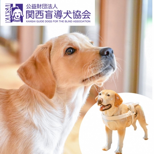 盲導犬 訓練 支援寄附 記念品［陶器のクイール（成犬）・タオル2枚セット・エコバッグ など盲導犬協会オリジナルグッズ］補助犬（100,000円） 150776 - 京都府亀岡市