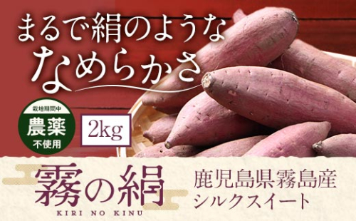 K-278-A 《期間限定！2025年12月中旬～2026年3月初旬迄に発送予定》 鹿児島霧島のさつまいも「霧の絹」2kg【オーガランド】霧島市 さつまいも サツマイモ さつま芋 芋 シルクスイート 生芋 1507914 - 鹿児島県霧島市