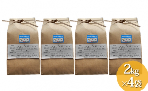 特別栽培米　無農薬ササニシキ玄米　2kg×4袋