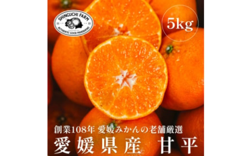 創業百八年 愛媛みかんの老舗＜甘平5kg(約15個～30個)＞家庭用＜新口農園＞＜F70-58＞【1554061】