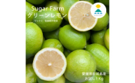 ★お試しセット★シュガーファームのグリーンレモン1Kg ワックス・防腐剤不使用 特別栽培認定レモン【1547307】