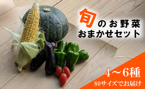 旬の野菜おまかせセット4～6種 80サイズ箱でお届け 猪苗代産 野菜 新鮮 野菜セット 農家直送 産地直送 詰め合わせ おまかせ 1508387 - 福島県猪苗代町