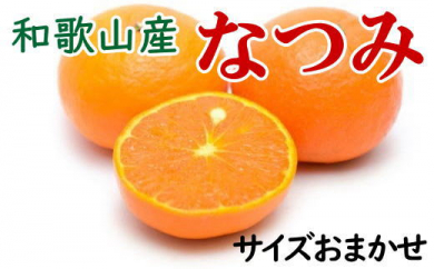 【希少柑橘】和歌山県産なつみ約5kg（S～2Lサイズおまかせ） ※2025年4月上旬～4月下旬頃に順次発送予定  150839 - 和歌山県美浜町