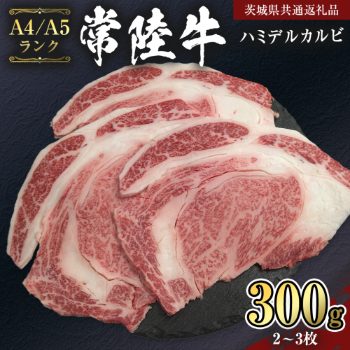 【 常陸牛 】 ハミデルカルビ 300ｇ (2～3枚) （茨城県共通返礼品） カルビ 黒毛和牛 国産黒毛和牛 和牛 国産 牛肉 牛 お肉 肉 ひたち牛 冷凍[CD052sa] 1508412 - 茨城県桜川市