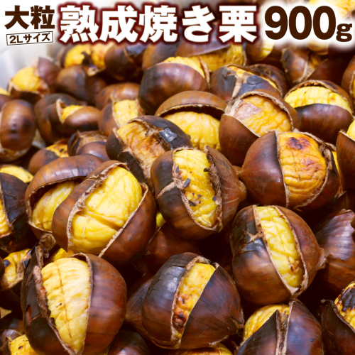 【 谷口農場 】 大粒 熟成 焼き栗 900g ( 2Lサイズ ) 300g × 3袋 完熟 栗 くり クリ 栗ごはん 果物 フルーツ　数量限定 [EC003ci] 1508527 - 茨城県筑西市