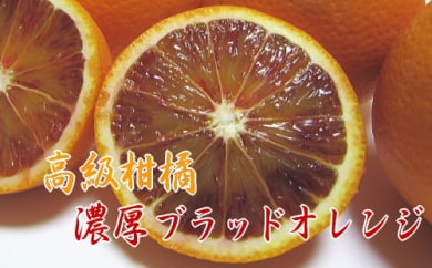 【高級柑橘】濃厚ブラッドオレンジ"タロッコ"　３kg ※沖縄地域へのお届け不可 ※2023年4月上旬～5月中旬頃に順次発送予定