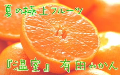 夏の美味】【みかん名産地有田】濃厚温室有田みかん 秀品 １２～１５玉