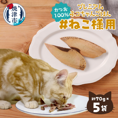 a10-1133　ねこ様用5点セット 1509478 - 静岡県焼津市