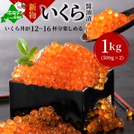 数量限定！贅沢堪能！北海道産  鮭いくら醤油漬け1kg＜いくら丼12～16杯分！＞鱒（マス）ではなく、北海道産の鮭（サケ）のいくらです