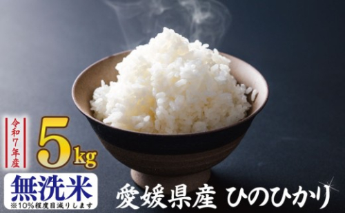 【無洗米】ひのひかり 4.3kg | お米 愛媛県産米 ふるさと納税お米 こめ ご飯 ご飯のおとも ご飯 おにぎり 弁当 おこめ ごはん 飯 愛媛県 松山市