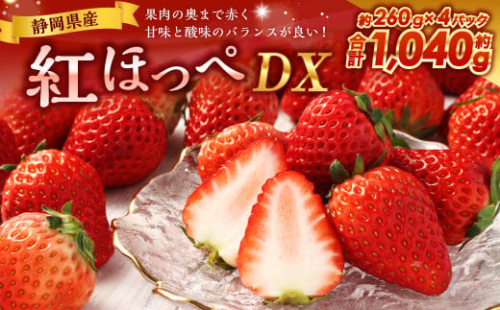 紅ほっぺ DX 約260g×4パック 計1,040g 【2026年1月上旬-3月下旬まで順次発送予定】｜ いちご 苺 果物 くだもの フルーツ 紅ほっぺ 1509571 - 静岡県菊川市