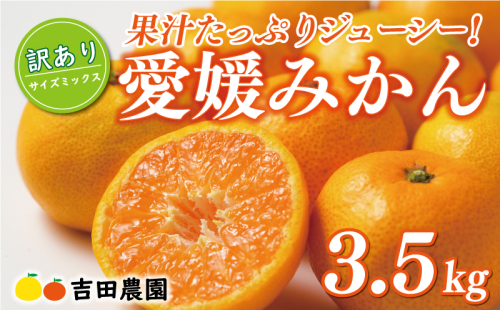 先行予約 訳あり 愛媛みかん 3.5kg 7000円 愛媛 みかん 温州みかん こたつ みかん mikan 蜜柑 ミカン 家庭用 産地直送 国産 農家直送 糖度 期間限定 数量限定 特産品 ゼリー ジュース アイス 人気 限定 甘い フルーツ 果物 柑橘 先行 事前 予約 受付 ビタミン 美味しい おいしい サイズ ミックス 愛南町 愛媛県 吉田農園 1509574 - 愛媛県愛南町