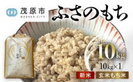 新米 令和6年産 千葉県茂原市産 ふさのもち 玄米10kg もち米