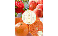 M160-0035_フルーツ定期便 3回 さぬきひめいちご 400g 三豊の桃 2kg 石地みかん 2.5kg[配送不可地域:北海道・沖縄県・離島][202405_リピーター] [202406_感想が良い] [202409_フルーツ先行予約] 果物・野菜 温州みかん 定期便 フルーツ 定期便 フルーツ くだもの 果物 フルーツ定期便