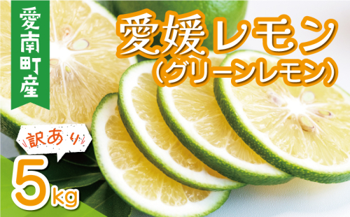 訳あり 愛媛 レモン （ グリーンレモン ） 5kg 7000円 柑橘 サイズ 不揃い 家庭用 檸檬 国産 フルーツ 果物 果実 産地直送 農家直送 数量限定 期間限定 特産品 瀬戸内 ワックス 防腐剤 不使用 果汁 人気 新鮮 レモネード 塩レモン レモン酢 レモンソース はちみつレモン レモンケーキ レモンスカッシュ レモンサワー レモン酎ハイ ビタミン 規格外 愛南町 愛媛県 果樹園みどり 1509651 - 愛媛県愛南町