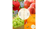 M02-0209_フルーツ定期便 4回 さぬきひめいちご 400g 特大シャインマスカット 800g 三豊の桃 2kg 高糖度石地みかん 5kg[配送不可地域:北海道・沖縄県・離島][202405_リピーター] [202406_感想が良い] [202409_フルーツ先行予約] 果物・野菜 温州みかん 定期便 フルーツ 定期便 フルーツ くだもの 果物 フルーツ定期便