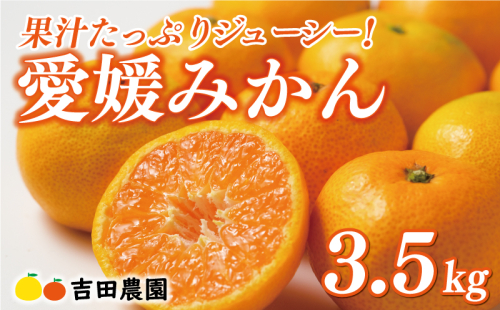 先行予約 愛媛みかん 3.5kg 8000円 愛媛 みかん 温州みかん こたつ みかん mikan 蜜柑 ミカン 家庭用 贈答用 ギフト プレゼント お歳暮 産地直送 国産 農家直送 糖度 期間限定 数量限定 特産品 ゼリー ジュース アイス 人気 限定 甘い フルーツ 果物 柑橘 先行 事前 予約 受付 ビタミン 美味しい おいしい 愛南町 愛媛県 吉田農園 1509718 - 愛媛県愛南町