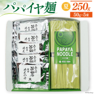 AI131 パパイヤ麺 5食 セット めんつゆ付 [ 麺 乾麺 手延べ麺 素麺 手延べそうめん 冷麺 にゅうめん にゅう麺 無農薬 青パパイヤ ヌードル コウセイプランニング 長崎県 島原市 ]