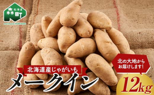 北海道産じゃがいも メークイン 12kg【2024年新じゃが】 野菜 いも イモ 芋 ポテト 料理 mr1-0701 1509720 - 北海道森町