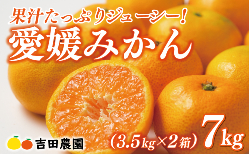 先行予約 愛媛みかん 合計 7kg （ 3.5kg × 2箱 ） 16000円 愛媛 みかん 温州みかん こたつ みかん mikan 蜜柑 ミカン 家庭用 贈答用 ギフト プレゼント お歳暮 産地直送 国産 農家直送 糖度 期間限定 数量限定 特産品 ゼリー ジュース アイス 人気 限定 甘い フルーツ 果物 柑橘 先行 事前 予約 受付 ビタミン 美味しい おいしい 愛南町 愛媛県 吉田農園 1509765 - 愛媛県愛南町