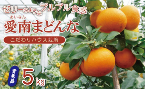 先行 予約 訳あり 愛南 まどんな 5kg 【 青秀品 】 みかん 20000円 愛果28号 紅まどんな 同品種 あいか アイカ 高級 人気 ブランド 柑橘 果物 フルーツ ハウス栽培 施設栽培 ギフト プレゼント 数量限定 期間限定 産地直送 国産 農家直送 特産品 お取り寄せ mikan 蜜柑 ミカン マドンナ スマイルカット 甘い おいしい ゼリー ぷるぷる 愛南町 愛媛県 果樹園みどり 1509785 - 愛媛県愛南町