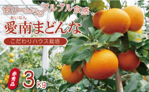 先行 予約 贈答用 愛南 まどんな 約3kg 【 赤秀品 】 みかん 20000円 愛果28号 紅まどんな 同品種 あいか アイカ 高級 人気 ブランド 柑橘 果物 フルーツ ハウス栽培 施設栽培 ギフト プレゼント 数量限定 期間限定 産地直送 国産 農家直送 特産品 お取り寄せ mikan 蜜柑 ミカン マドンナ スマイルカット 甘い おいしい ゼリー ぷるぷる 愛南町 愛媛県 果樹園みどり 1509806 - 愛媛県愛南町