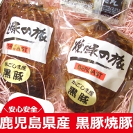 No.099 鹿児島県産　黒豚焼豚【薩摩ファームブロスト】