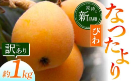 期待の新品種びわ「なつたより」。「なつたより」は、大玉で、果肉が柔らかく糖度が高く、酸味が少ない食味に優れる品種です。果肉が柔らかく簡単に手で剥く事ができます。■注意事項/その他この返礼品は自然の作物